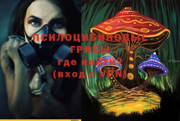 бошки Покров