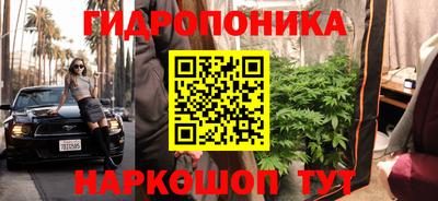 mdpv Лесосибирск