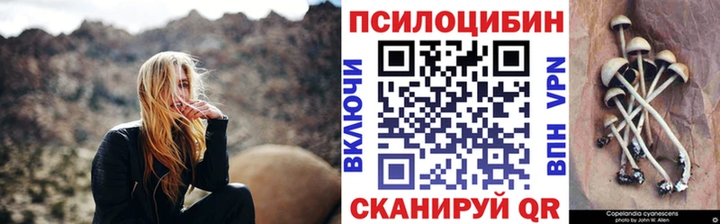 цена   Йошкар-Ола  Псилоцибиновые грибы Cubensis 