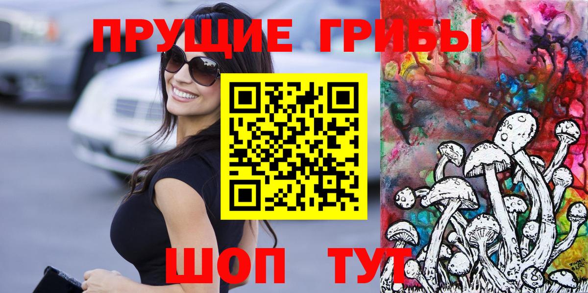 Йошкар-Ола  Галлюциногенные грибы Psilocybe  Вход с VPN 