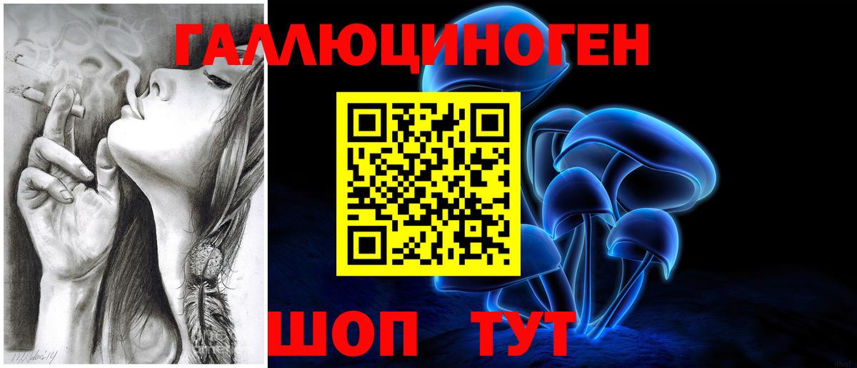 Псилоцибиновые грибы мицелий Йошкар-Ола
